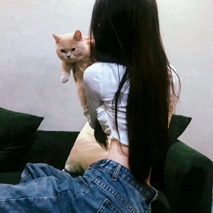 黑暗之风第三季